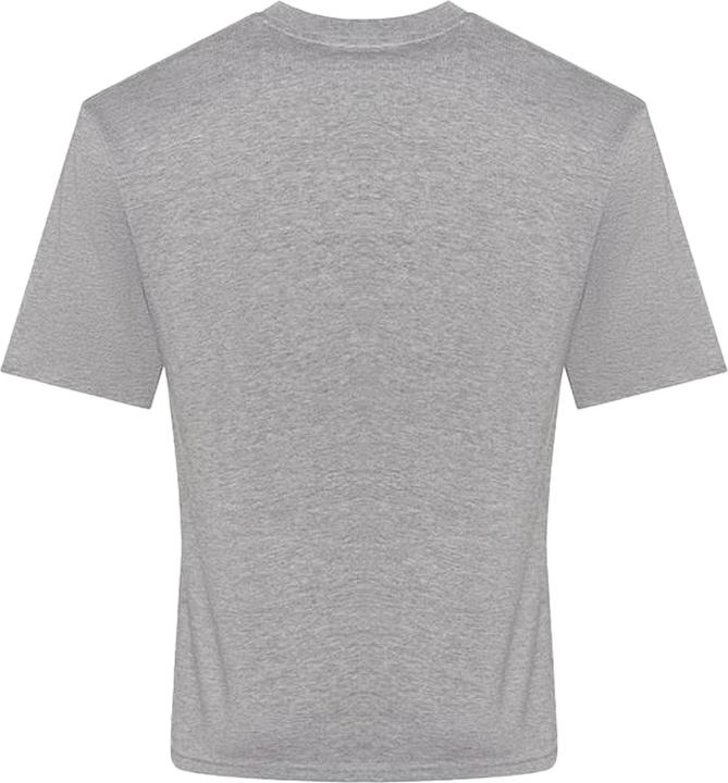 Actual product image Awdis 100 TShirt (XL)