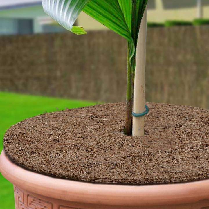 Produktbild Casa Pura Mulchscheiben