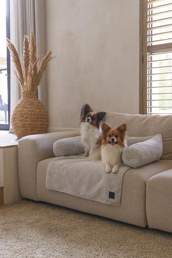 Image du produit Designed by Lotte Coussin de canapé Ribbed (Chien)