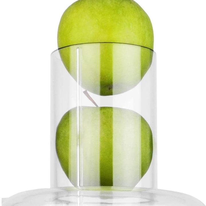Immagine prodotto Gastroback Vital Juicer Pro Juicer (Spina CH)