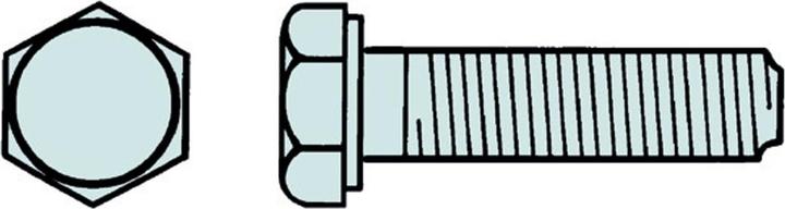 Actual product image Werkstarck Hexagon head screws (100 Screws per piece)