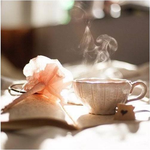 Produktbild My TeaCup Teetox (100 g)