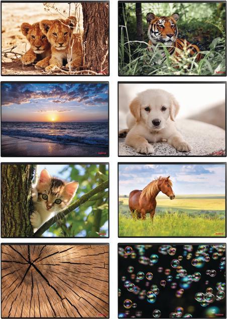 Produktbild Kolma Schreibunterlage Poster (Pferd) 50 x 34 (50 x 34 cm)
