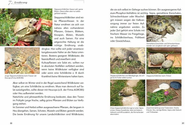 Actual product image Die Haltung der Steppenschildkröten Agrionemys horsfieldii (German, Ude barrel, 2013)