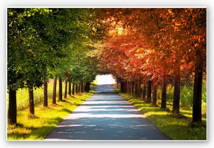 Produktbild Trenddeko Herbst (100 x 70 cm)