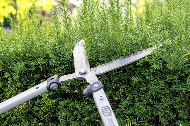 Image du produit Felco 250-57