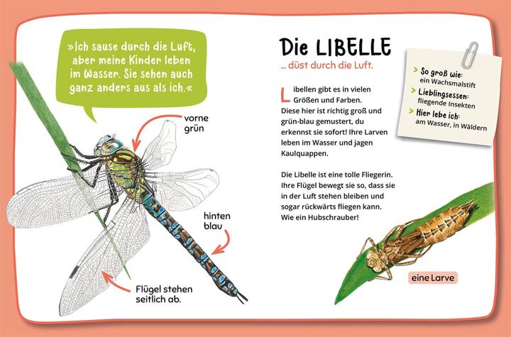 Actual product image Kosmos Mein erster Naturführer, Was krabbelt denn da? (German, Steffen Walentowitz, Julie Sodré, Veronika Lang, 2023)