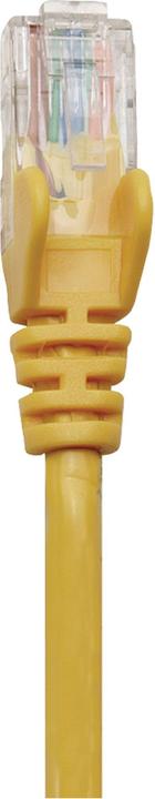Actual product image Intellinet Patch cable (U/UTP, CAT6, 0.25 m)