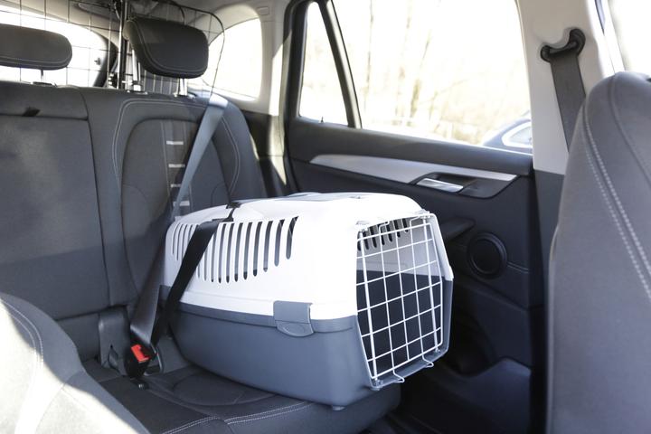 Actual product image Kerbl Gulliver 3 (Cat, Dog, Lockable)