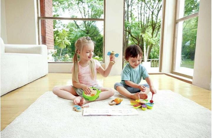 Actual product image Hape Nature rhythm kit (German)