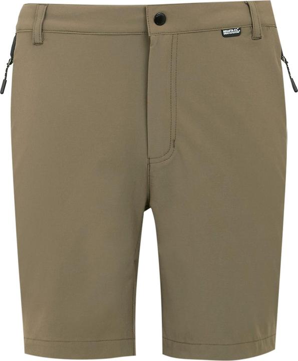 Regatta Mountain II Shorts