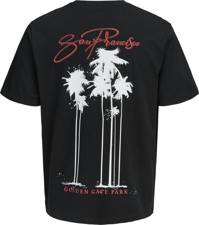 Produktbild Jack & Jones Jorbradley Goldengate Tee Ss C.N Stmss25 (XL)