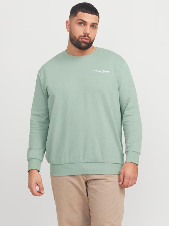 Actual product image Jack & Jones Plus Size Printed Sweatshirt Sweatshirt (5XL)