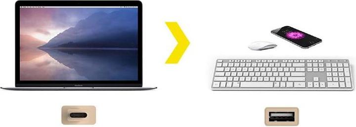 Produktbild Kanex USB-C zu (0.20 m, USB 3.2 Gen 1)