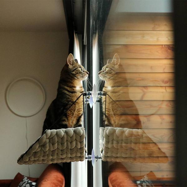 Immagine prodotto D&D Sofia Fensterbett (Gatto)