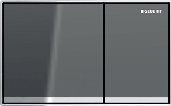 Actual product image Geberit Flush plate Omega60, for dual flush, flush-mounted