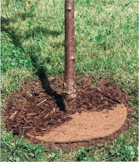 Image du produit Windhager Disque de paillage Cocodisc