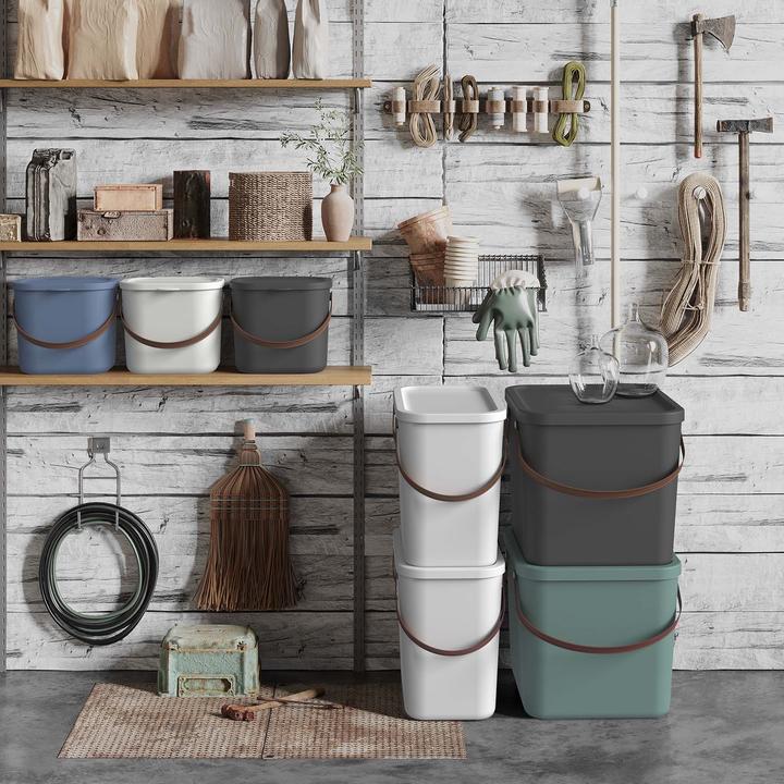 Actual product image Rotho Albula (33 x 34 x 38 cm, 40 l)