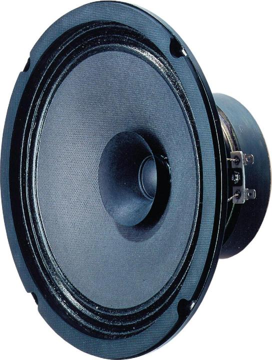 Immagine prodotto Visaton Altoparlante a gamma completa BG 20, 8 Ohm