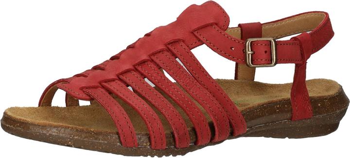 El Naturalista Sandalen (39)