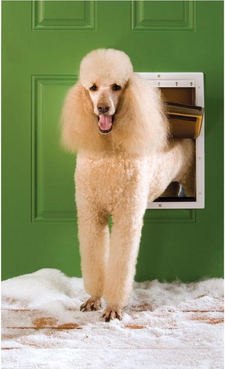 Actual product image PetSafe Extreme Weather (Manual cat flap)