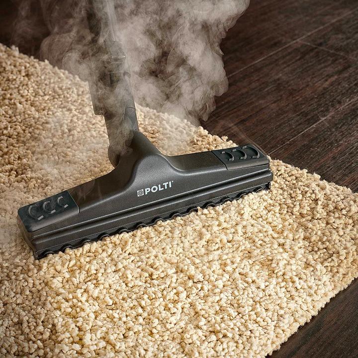 Actual product image Polti FAV80 (6 bar, 2450 W)