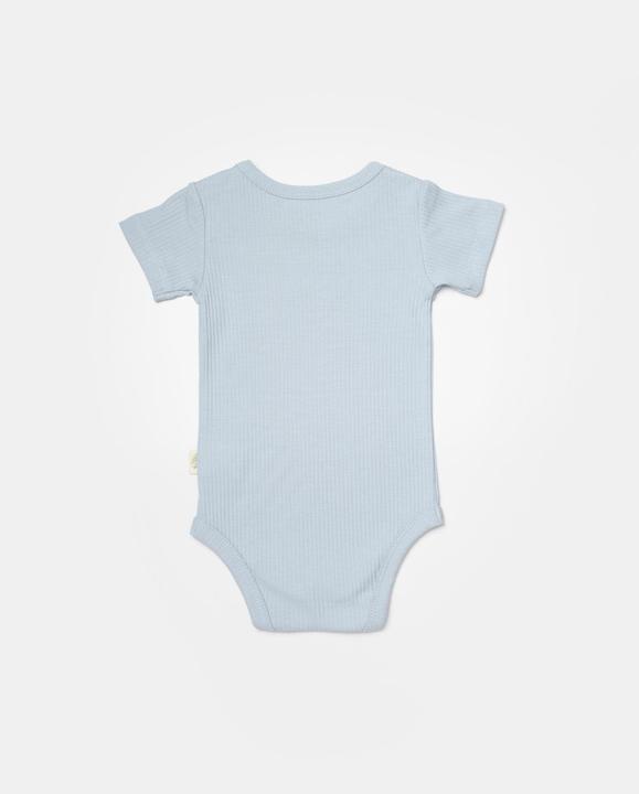Actual product image BabyCosy 2 Pcs short sleeved Body (80)
