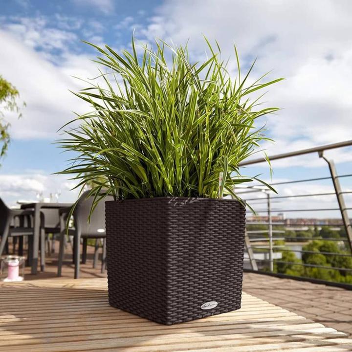 Actual product image Lechuza Cube Cottage (49 cm)