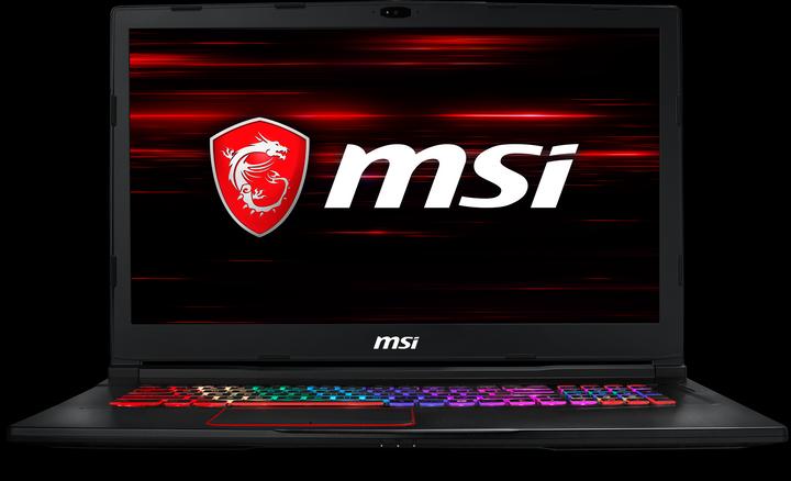 MSI GE73 8RF-607 Raider RGB (17.30", Intel Core i7-8750H, 16 GB, 256 GB, CH)