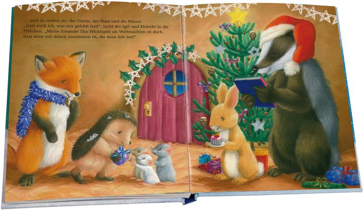Actual product image The little hedgehog celebrates Christmas (German, M Christina Butler, 2016)