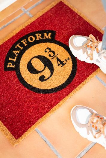 Immagine prodotto Pyramide Zerbino: Harry Potter Piattaforma 9 3/4 (40x60cm) (40 x 60 cm)