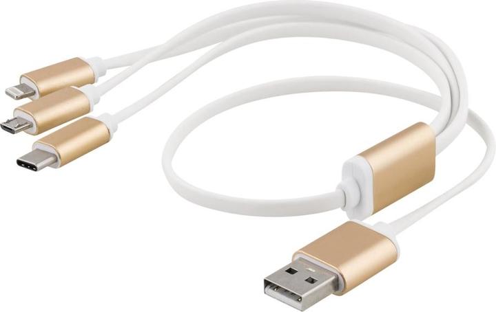 Image du produit Epzi Câble 3 en 1 Lightning/Micro/USB-C - 0,5 m - or (0.50 m, USB 3.2 Gen 1)