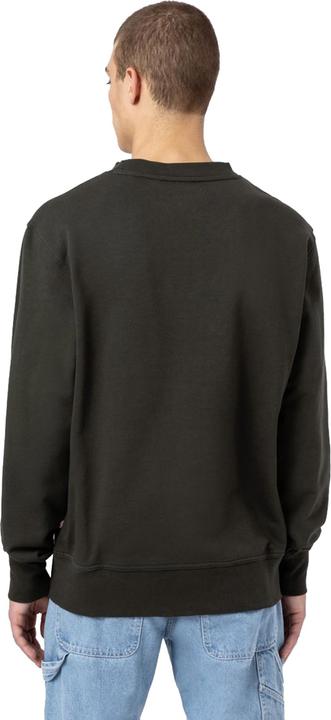 Immagine prodotto Dickies Mount Vista Crew (S)