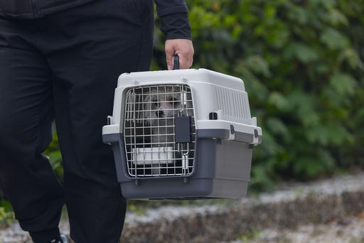 Actual product image Karlie Nomad (Cat, Dog, Lockable)