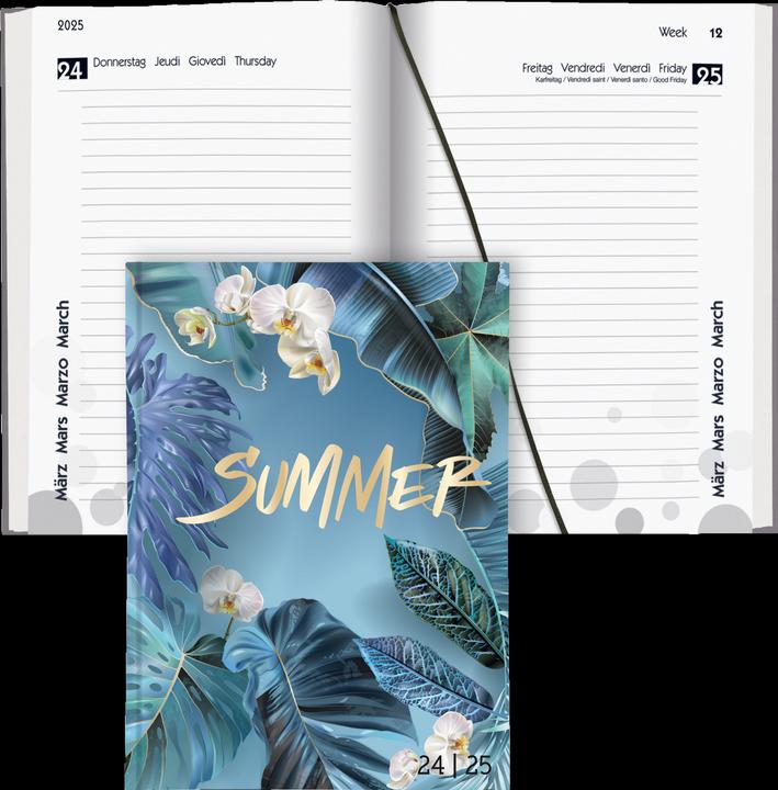 Immagine prodotto Biella Agende scolastiche mydiary (12 x 16,5 cm, Tedesco, Inglese, Italiano, Francese)