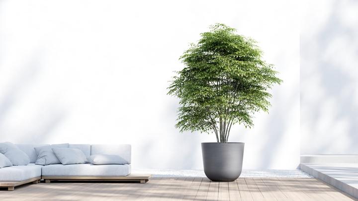 Immagine prodotto Ecopots Oslo (75 cm)