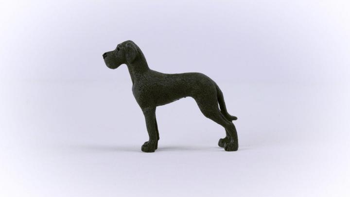 Produktbild Schleich Dänische Dogge
