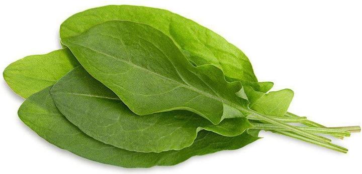 Actual product image Click and Grow Sorrel (Herb seeds)