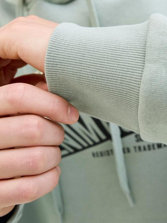Actual product image Jack & Jones JJELOGO SWEAT HOOD 2 COL 25/26 NOOS (M)