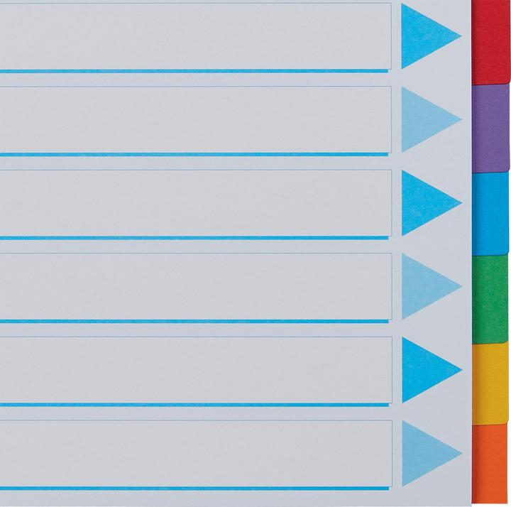 Image du produit Esselte Registre en carton coloré