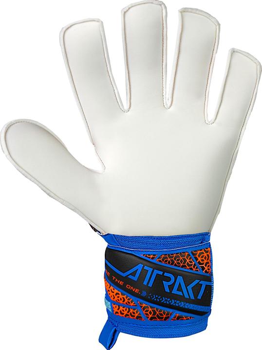 Actual product image Reusch Attrakt Solid (8)