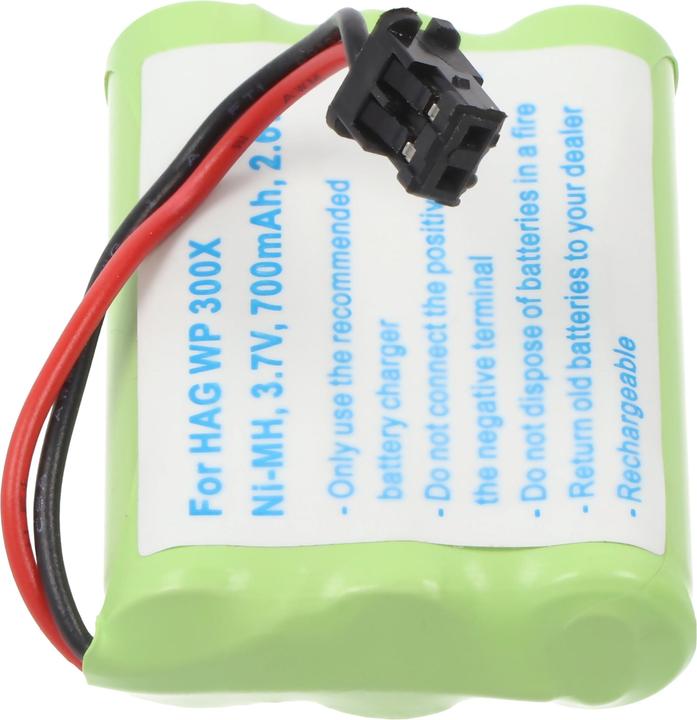Actual product image hagenuk Akku WP 300X Akku BT-589