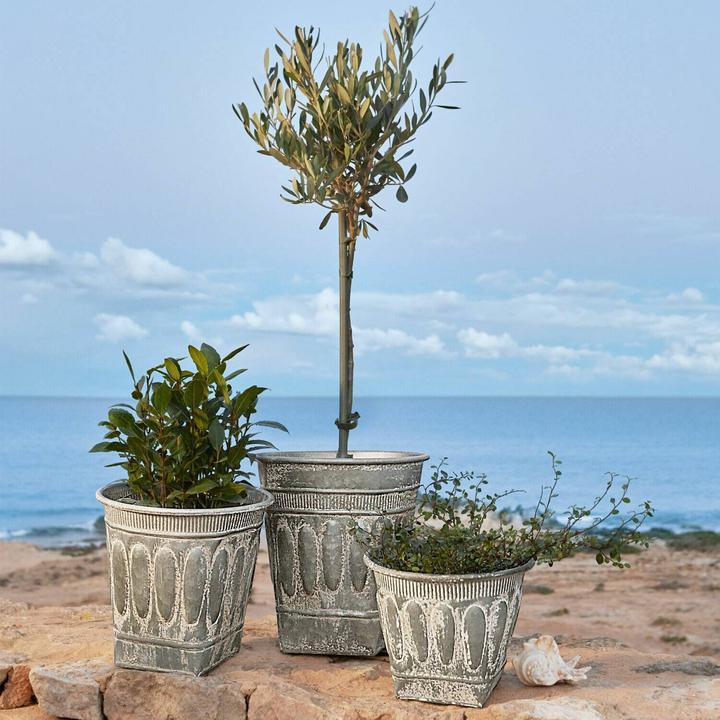 Actual product image Loberon Cachepot set of 3 Bakersfield antique silver (25.50 cm)