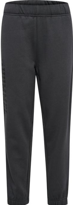 Image du produit hummel hmlALVIN PANTS (104)