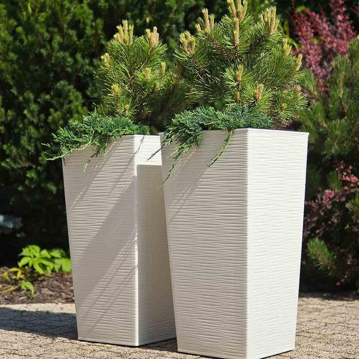 Actual product image Siena Garden Modern (25 cm)