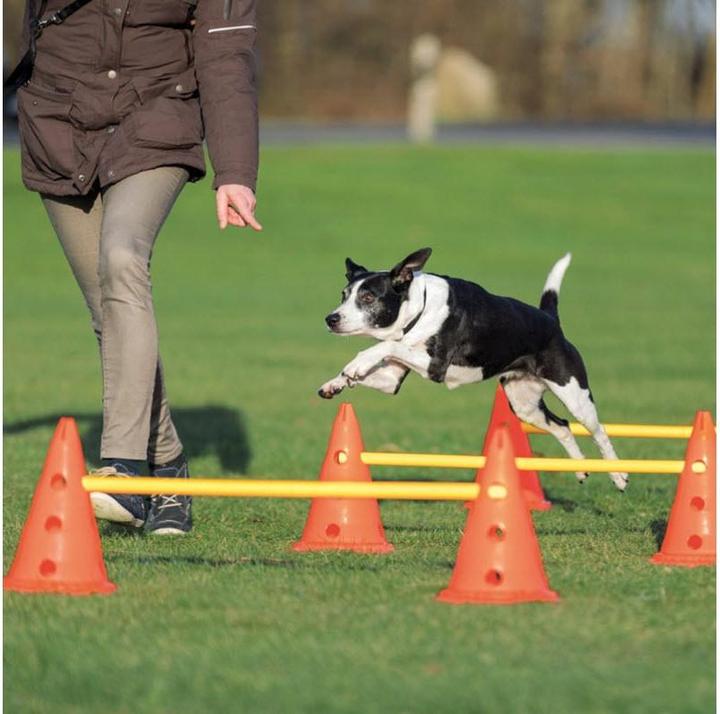 Actual product image Trixie Dog Activity