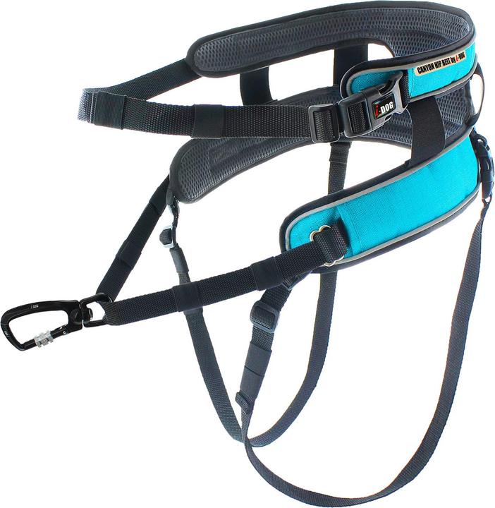 Image du produit i-DOG Canyon ALM (Taille unique, Chien, Sport canin)
