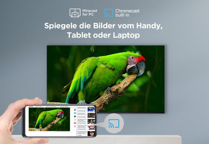 Image du produit TCL 43P655 (43", LED, 4K, 2024)