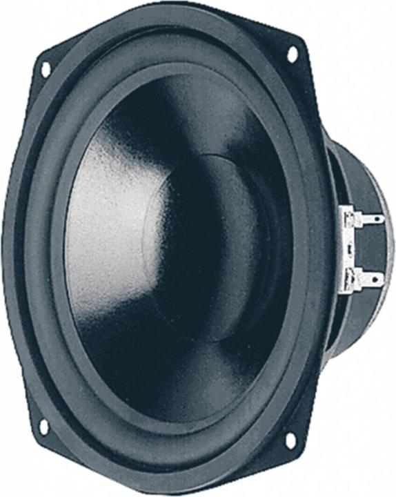 Actual product image Visaton HiFi woofer WS 17 E, 8 Ohm