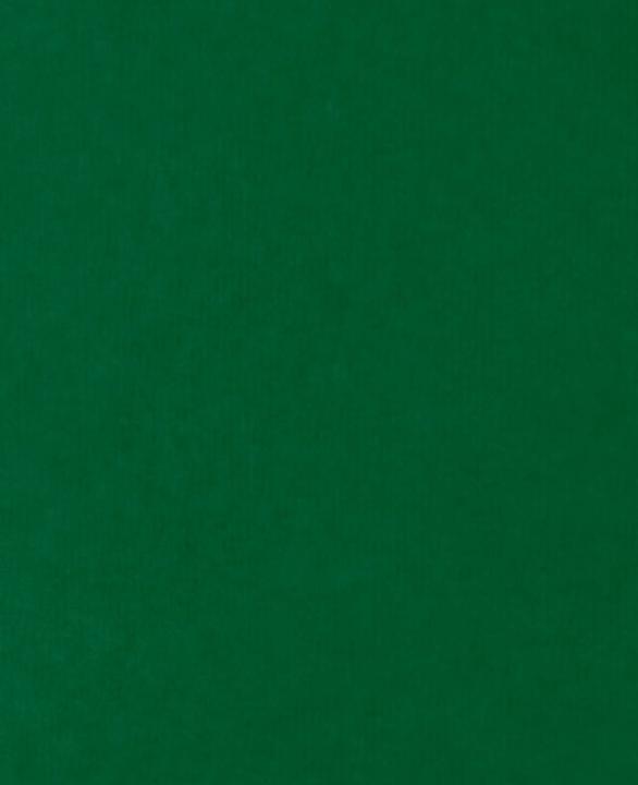 Produktbild Ursus Drachenpapier 70 x 100 cm, 42 g/m², Dunkelgrün (42 g/m², 1 x)